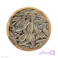 تخمه کانادایی شور – 500 گرم
