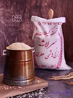 سرلاشه هاشمی دودی