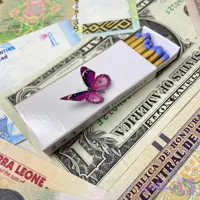 کبریت توکلی پروانه یاسی