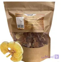 قارچ گانودرما (۱۰۰ گرمی) زرد