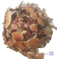 قارچ گانودرما (فله نیم کیلویی) زرد