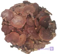 قارچ گانودرما (فله نیم کیلویی) قرمز