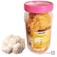 قارچ یال شیر (100 گرمی)