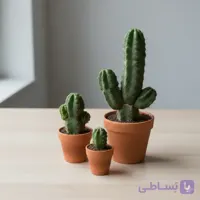 کاکتوس‌های واران