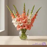 گل گلایول