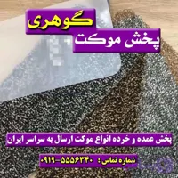 موکت پالاز پالس اسپرت