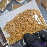 ریشه زعفران معمولی قاینات | یک مثقالی