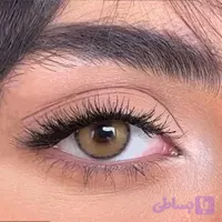 لنز رنگی سلنا چیمرا عسلی خاکی یک دست دوردار سالانه