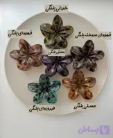 کلیپس پلومریا طرح پلنگی مجموعه سه عددی