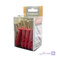 پیچ و رولپلاک لبه دار کاسپین 6 سانتی  Caspian rawlplug with Screw