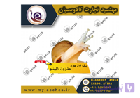پک 20 عدد حلزون اچاتینا البینو | 1000 گرم مکمل + 1000 گرم کلسیم + 2 کیلو خاک تخصصی
