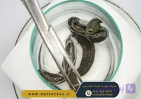 انلاین پک 20 عددی زالو طبی