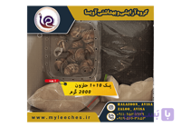 پک ۱۰ عددی حلزون طبی اسکارگو + 🐌 وسایل کامل | درمان پوست + درآمدزایی