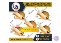 پک 5 عدد حلزون اچاتینا البینو | 150 گرم مکمل + 150 گرم کلسیم + 500 گرم خاک تخصصی