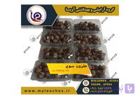 حلزون اسکارگو 100 عدد