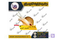 پک 10 عدد حلزون اچاتینا البینو | 450 گرم مکمل + 450 گرم کلسیم + 1 کیلو خاک تخصصی