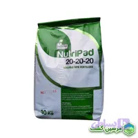 NPK 20-20-20+TE+AA Padena کود کامل نوتری پاد پادنا (10 کیلویی)