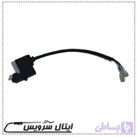 میکرو سوییچ کارواش خانگی