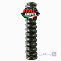 فنر شیر برتو