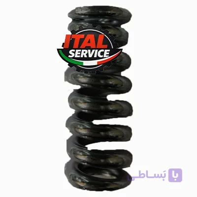 فنر شیر اینتر