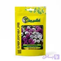 بذر گل استئوسپرموم اطلس بذر