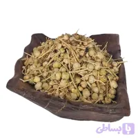 اسپند نخودی کردستان _ 100گرم