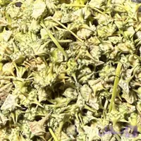 خارخاسک – ۵۰ گرم
