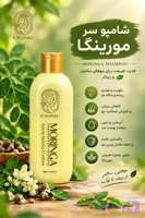 شامپو موی سر حاوی روغن مورینگا ۳۰۰ میل EXONIC