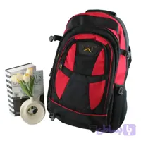 کوله پشتی پارچه ای مسافرتی و ورزشی دارای بند بلند و جیب متعدد ابعاد 55 در 30 در 25 سانتیمتر - احسان موری شیریانی