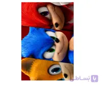 برچسب حرارتی طرح سونیک