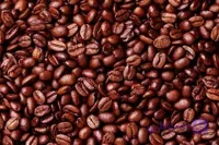 قهوه عربیکا اوگاندا