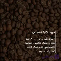 قهوه کنیا تخصصی