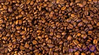 قهوه عربیکا اتیوپی لکمپتی