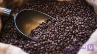 قهوه عربیکا کلمبیا تولیمو