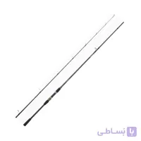 چوب ماهیگیری دایوا پروکستر DAIWA PROCASTER A