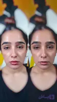 بالم لب اوردینری