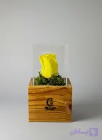 گل رز جاودان مدل (دل)