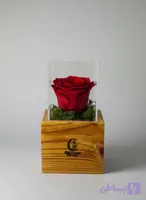 گل رز جاودان مدل (سرخ)
