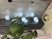 اباژور / کنارسالنی مولکولی