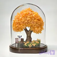 درختچه هورتانسیا جاودان نارنجی