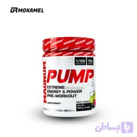 پمپ 6۰۰ گرم مگنوم