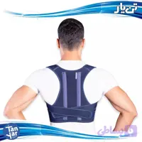 قوزبند پلدار اپلون