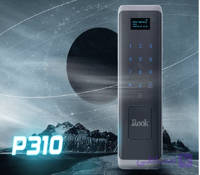 قفل دیجیتال برند کارن مدل ROOK_P231