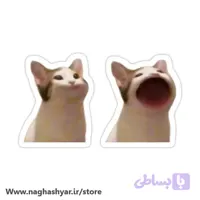 استیکر میم گربه مجموعه 2 عددی