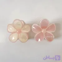 کلیپس گل پینترستی