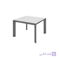 میز بغل مبلی پادمان مدل CT 100 سایز 60*60