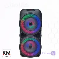 اسپیکر بلوتوثی قابل حمل رویال ساند مدل RS-D33