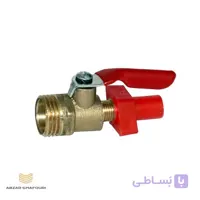 شیر برنجی کولر آبی