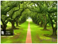 پوستر دیواری جاده با درختان مارپیچ کد N-5866