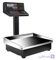 ترازو اینترنتی رادین 70 کیلویی مدل 8800GPRS
